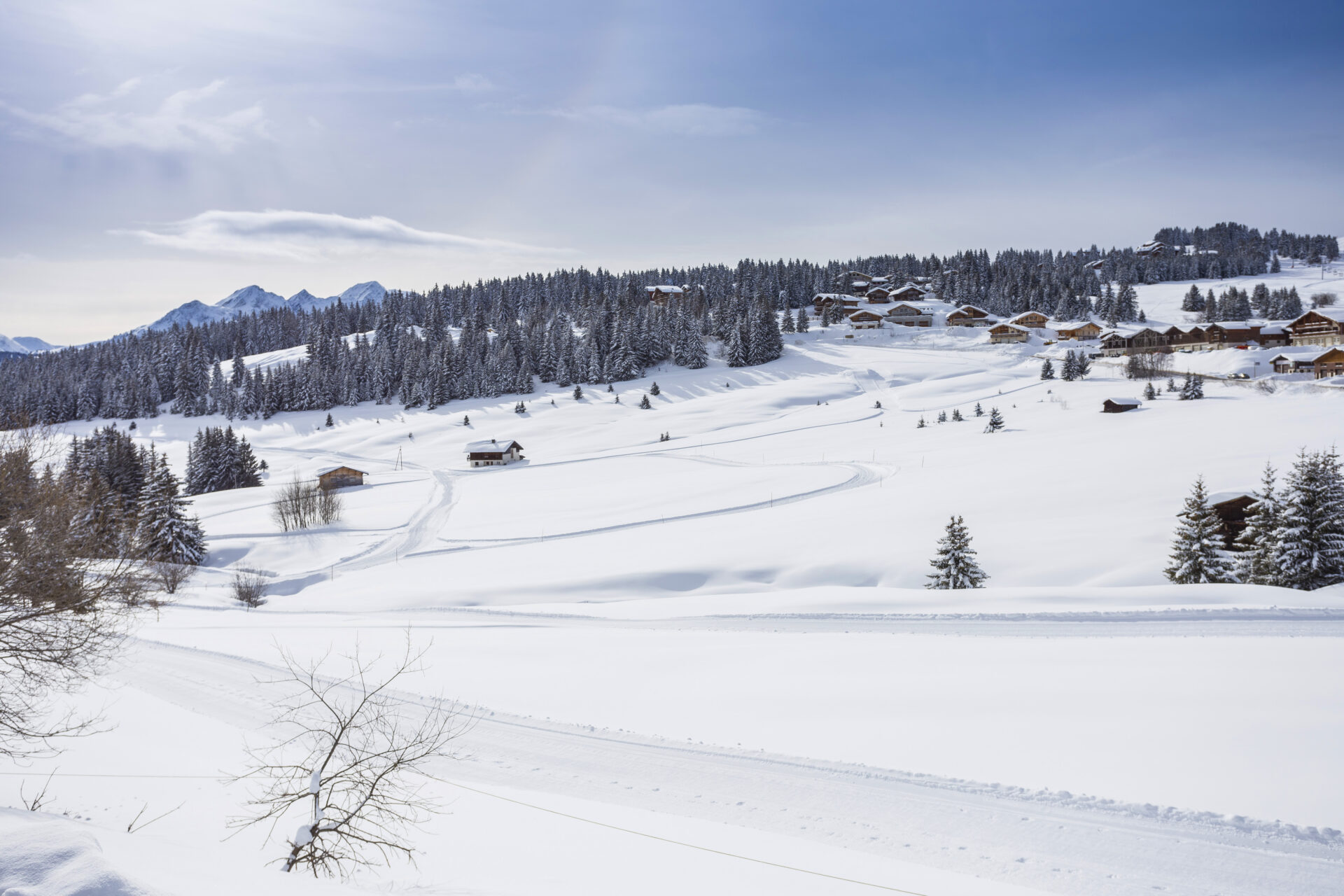 An image of the pistes in Les Saisies
