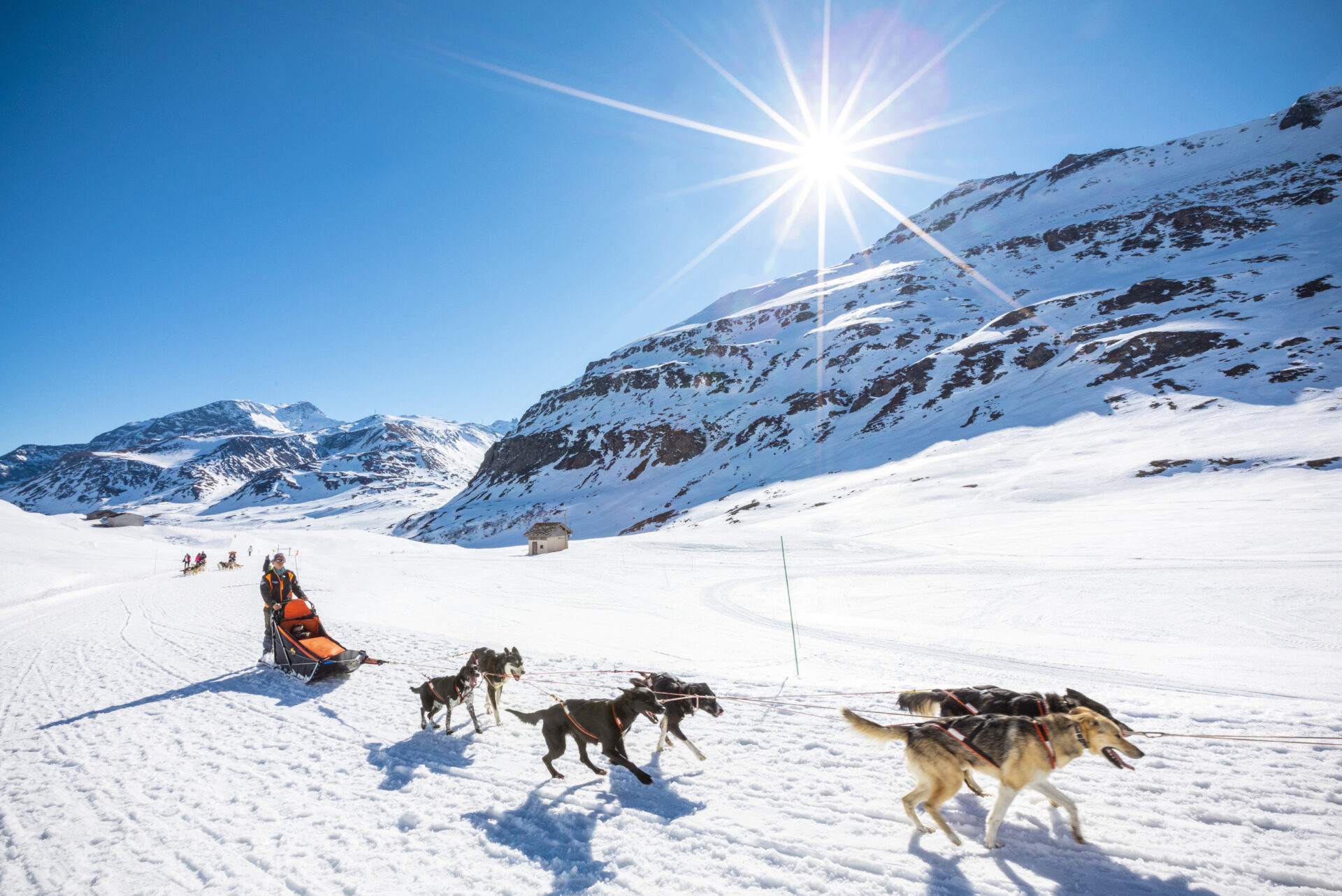 An image of the dog sledding in Val Cenis